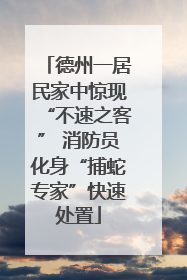 德州一居民家中惊现“不速之客” 消防员化身“捕蛇专家”快速处置