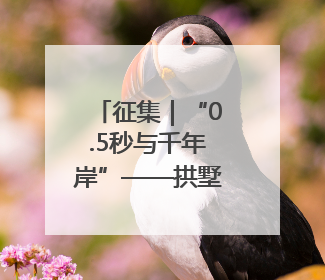 征集｜“0.5秒与千年岸”——拱墅区“时尚之都”主题全国摄影展