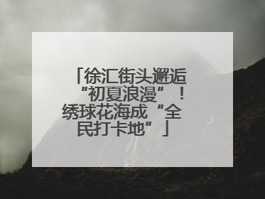 徐汇街头邂逅“初夏浪漫”！绣球花海成“全民打卡地”