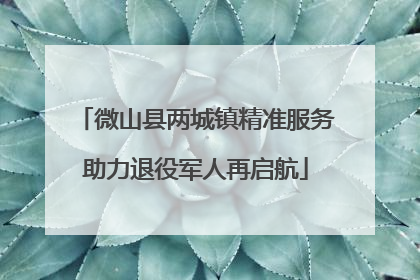 微山县两城镇精准服务助力退役军人再启航