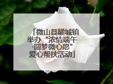 微山县驩城镇举办“浓情端午·圆梦微心愿”爱心帮扶活动