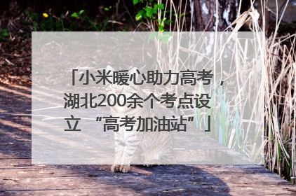 小米暖心助力高考，湖北200余个考点设立 “高考加油站”