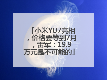 小米YU7亮相，价格要等到7月，雷军：19.9万元是不可能的