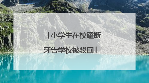 小学生在校磕断牙告学校被驳回