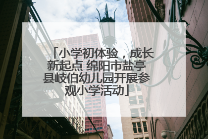 小学初体验，成长新起点 绵阳市盐亭县岐伯幼儿园开展参观小学活动