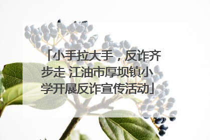 小手拉大手，反诈齐步走 江油市厚坝镇小学开展反诈宣传活动