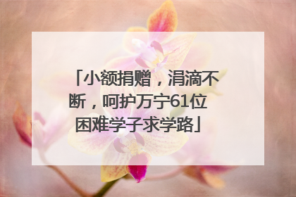 小额捐赠，涓滴不断，呵护万宁61位困难学子求学路
