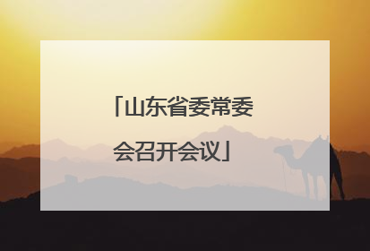 山东省委常委会召开会议