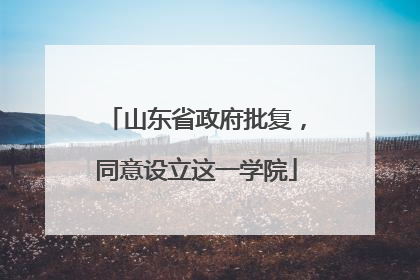 山东省政府批复，同意设立这一学院