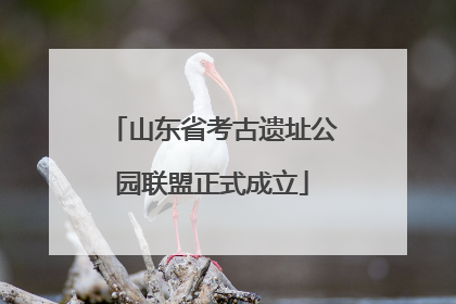 山东省考古遗址公园联盟正式成立