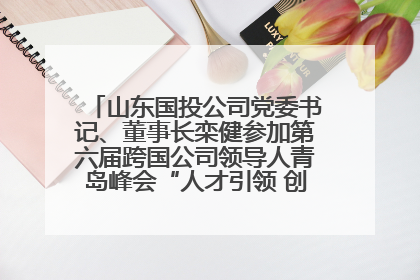 山东国投公司党委书记、董事长栾健参加第六届跨国公司领导人青岛峰会“人才引领 创新驱动”人力资源高质量发展对话会