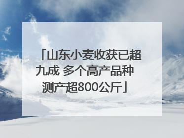 山东小麦收获已超九成 多个高产品种测产超800公斤