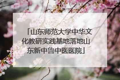 山东师范大学中华文化教研实践基地落地山东新中鲁中医医院