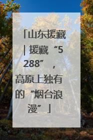 山东援藏｜援藏“5288”，高原上独有的“烟台浪漫”
