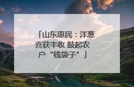 山东惠民：洋葱喜获丰收 鼓起农户“钱袋子”