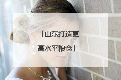 山东打造更高水平粮仓