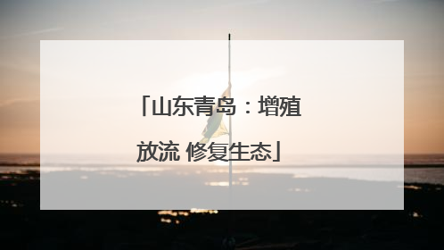 山东青岛：增殖放流 修复生态
