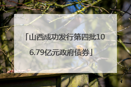 山西成功发行第四批106.79亿元政府债券