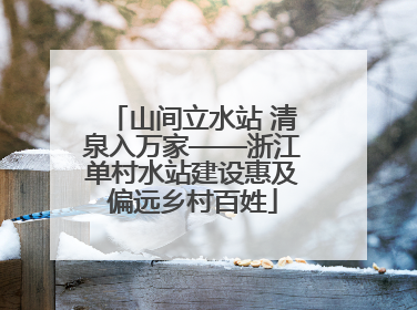 山间立水站 清泉入万家——浙江单村水站建设惠及偏远乡村百姓