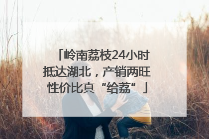 岭南荔枝24小时抵达湖北，产销两旺性价比真“给荔”