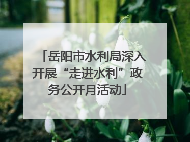 岳阳市水利局深入开展“走进水利”政务公开月活动