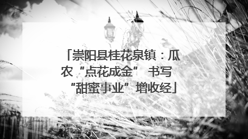 崇阳县桂花泉镇：瓜农“点花成金” 书写“甜蜜事业”增收经