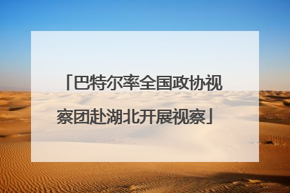 巴特尔率全国政协视察团赴湖北开展视察