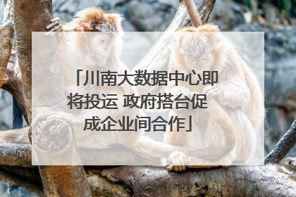 川南大数据中心即将投运 政府搭台促成企业间合作