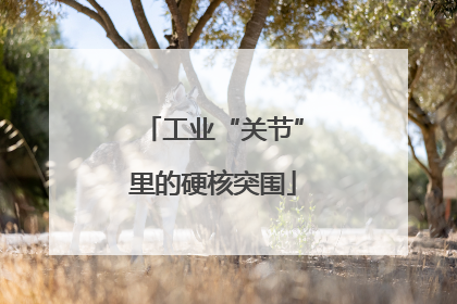 工业“关节”里的硬核突围