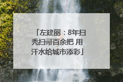 左建丽：8年扫秃扫帚百余把 用汗水给城市添彩