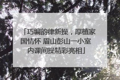 巧编韵律新操，厚植家国情怀 眉山彭山一小室内课间操精彩亮相
