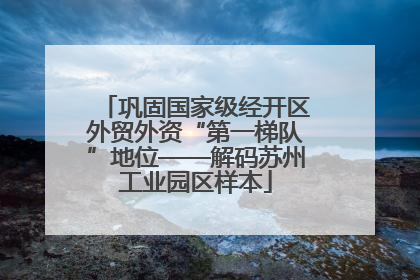 巩固国家级经开区外贸外资“第一梯队”地位——解码苏州工业园区样本