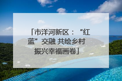 市洋河新区：“红蓝”交融 共绘乡村振兴幸福画卷