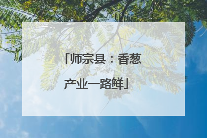 师宗县：香葱产业一路鲜