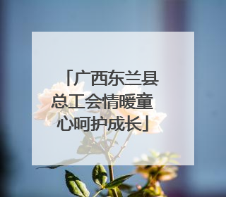 广西东兰县总工会情暖童心呵护成长