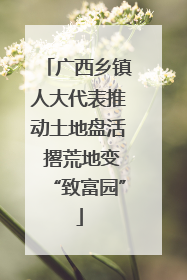 广西乡镇人大代表推动土地盘活 撂荒地变“致富园”