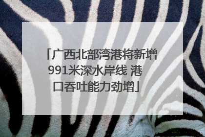 广西北部湾港将新增991米深水岸线 港口吞吐能力劲增
