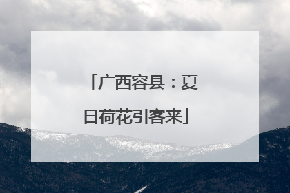 广西容县：夏日荷花引客来