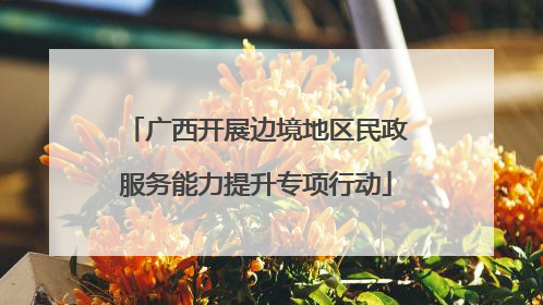 广西开展边境地区民政服务能力提升专项行动