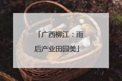 广西柳江：雨后产业田园美