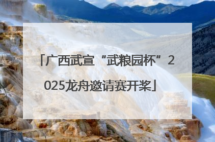 广西武宣“武粮园杯”2025龙舟邀请赛开桨