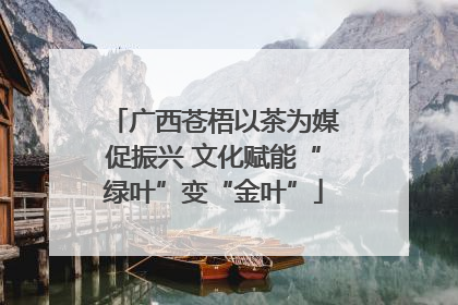 广西苍梧以茶为媒促振兴 文化赋能“绿叶”变“金叶”