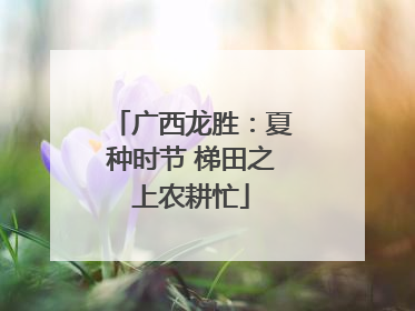 广西龙胜：夏种时节 梯田之上农耕忙