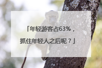 年轻游客占63%，抓住年轻人之后呢？
