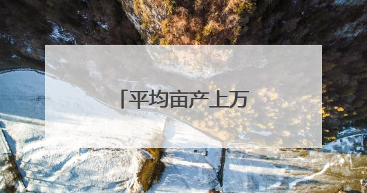 平均亩产上万斤 湖南衡山白玉丝瓜迎丰收