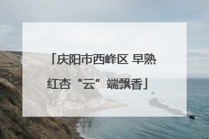 庆阳市西峰区 早熟红杏“云”端飘香