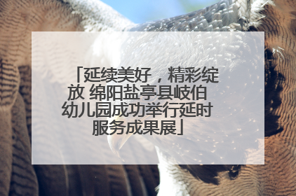 延续美好，精彩绽放 绵阳盐亭县岐伯幼儿园成功举行延时服务成果展