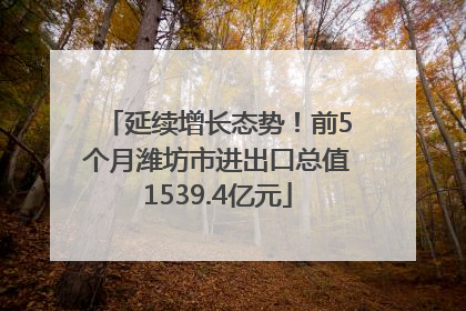延续增长态势！前5个月潍坊市进出口总值1539.4亿元