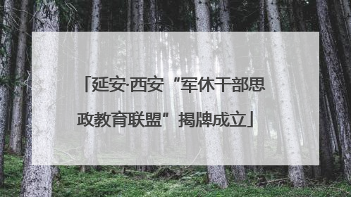 延安·西安“军休干部思政教育联盟”揭牌成立