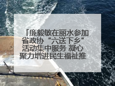 廉毅敏在丽水参加省政协“六送下乡”活动集中服务 凝心聚力增进民生福祉推进共同富裕